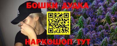 индика Кунгур