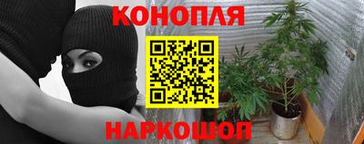 спайс Кулебаки