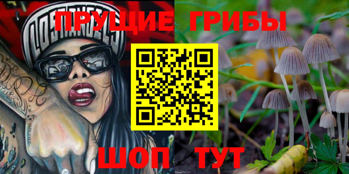 Галлюциногенные грибы MAGIC MUSHROOMS  Вход с VPN  Галлюциногенные грибы GOLDEN TEACHER  Ишим 